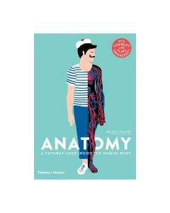 Anatomy: A Cutaway Look Inside the Human Body
