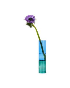 Glass Bamboo Vase