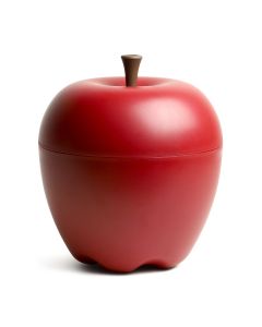 Apple Desktop Storage Container