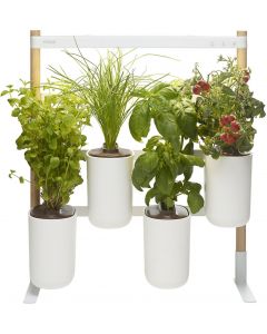 Pret a Pousser Indoor Garden Modulo 2