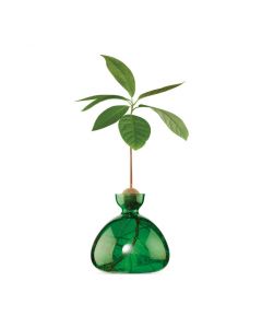 Avocado Vase