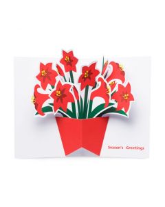 Festive Amaryllis Holiday Cards - Set of 8