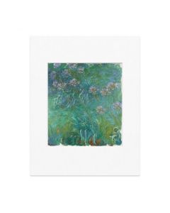 Monet: Agapanthus Matted Print