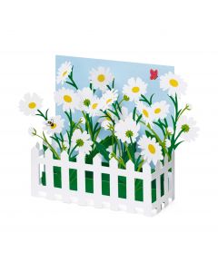 Picket Fence Daisies Pop-Up Note Cards - Set Of 6