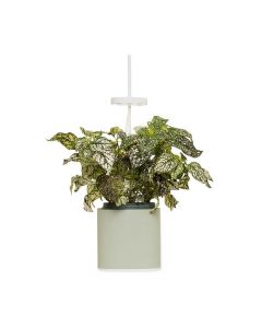 Pret a Pousser Nano Garden