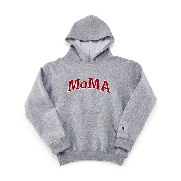 grey champion hoodie kids